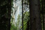 2014-07-05_Laengental-N-Hochweg (944). JPG